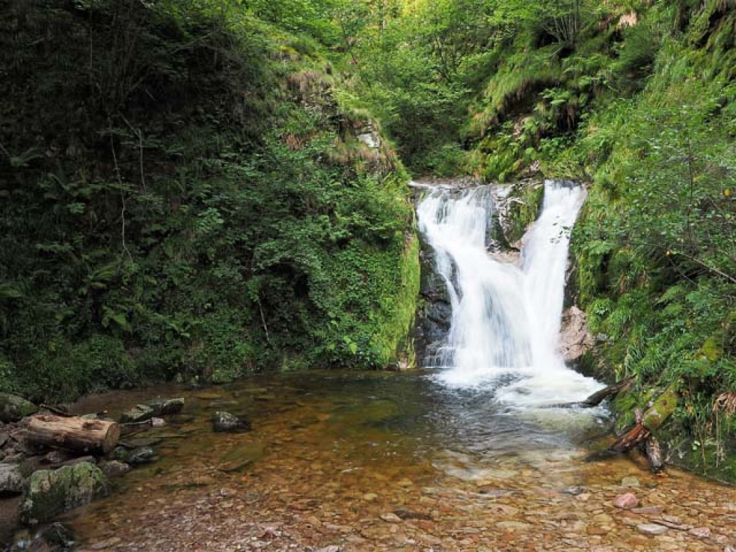 Täglich entspringen neue Hoffnungsquellen